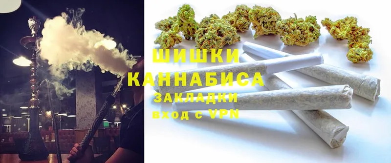 Конопля OG Kush  Дно 